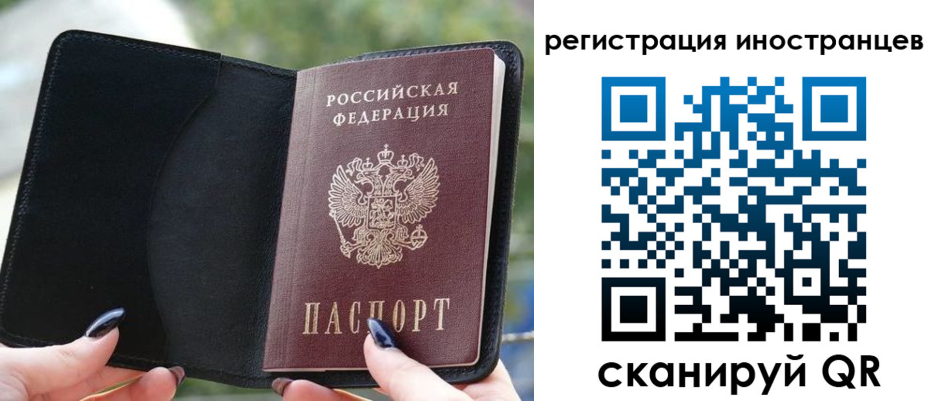 найти адрес прописки в Новомичуринске